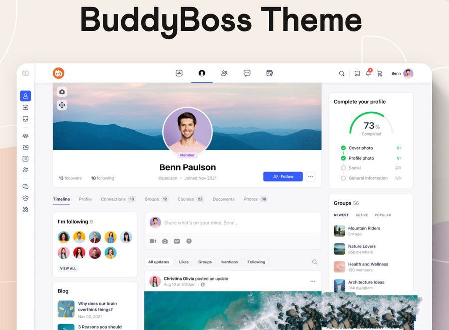 WordPress 高度定製主題BuddyBoss激活版