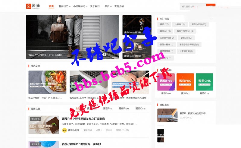 WordPress主题 酱茄模块